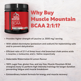 Muscle Mountain BCAA 2:1:1
